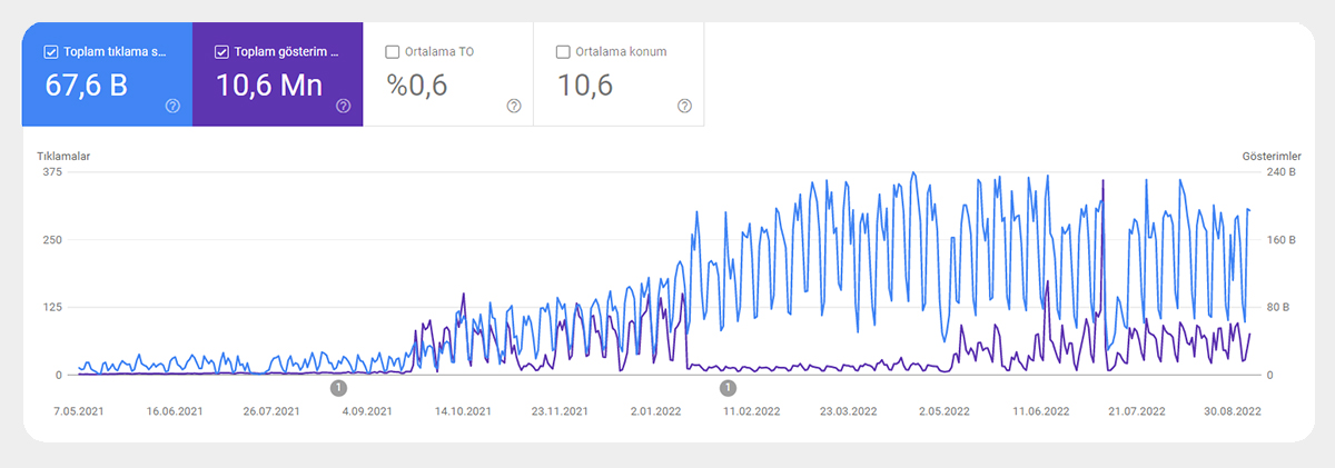 NetBT Search console verileri 